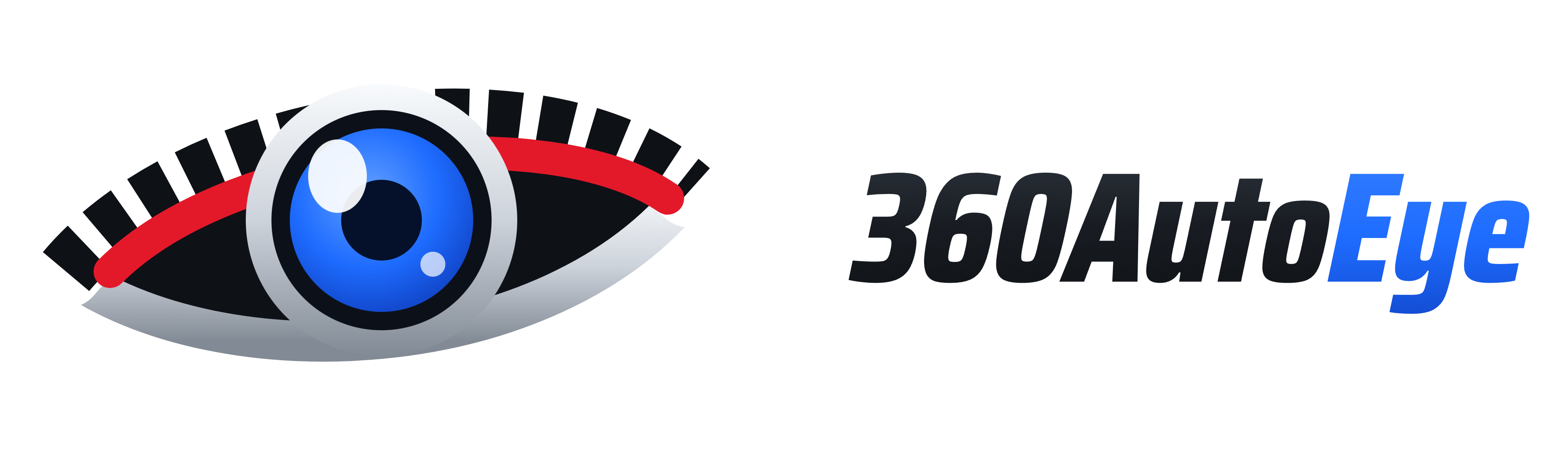 360 AutoEye · Automated Vehicle Detection